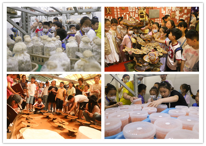 圖片關(guān)鍵詞 圖片關(guān)鍵詞