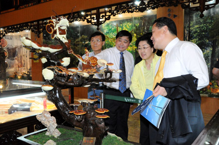 圖片關(guān)鍵詞 圖片關(guān)鍵詞