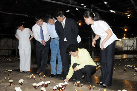 圖片關(guān)鍵詞 圖片關(guān)鍵詞