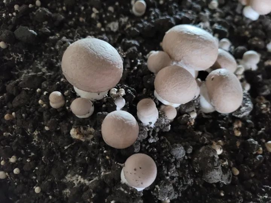 圖片關鍵詞 圖片關鍵詞