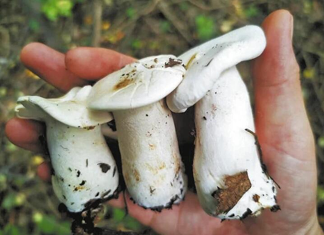 圖片關(guān)鍵詞 圖片關(guān)鍵詞