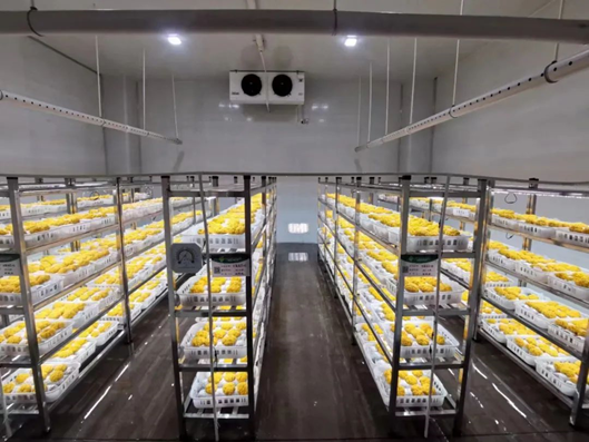 圖片關(guān)鍵詞 圖片關(guān)鍵詞