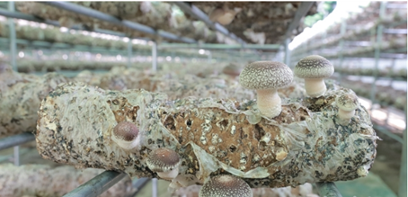 圖片關(guān)鍵詞 圖片關(guān)鍵詞