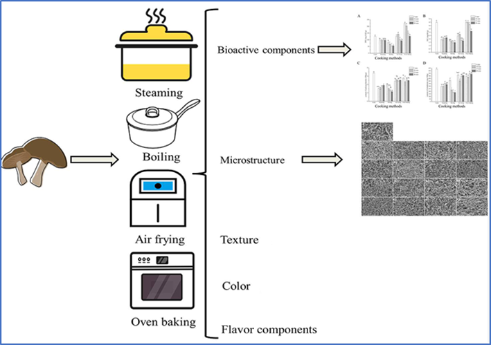 圖片關鍵詞 圖片關鍵詞