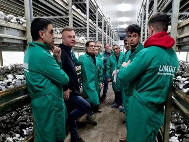 圖片關(guān)鍵詞 圖片關(guān)鍵詞