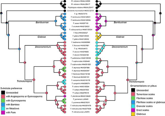 圖片關(guān)鍵詞 圖片關(guān)鍵詞