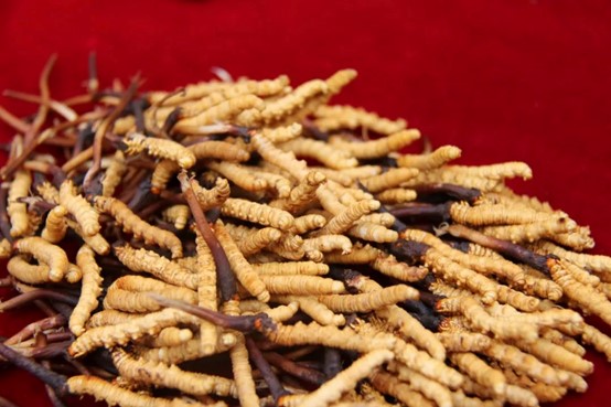 圖片關(guān)鍵詞 圖片關(guān)鍵詞