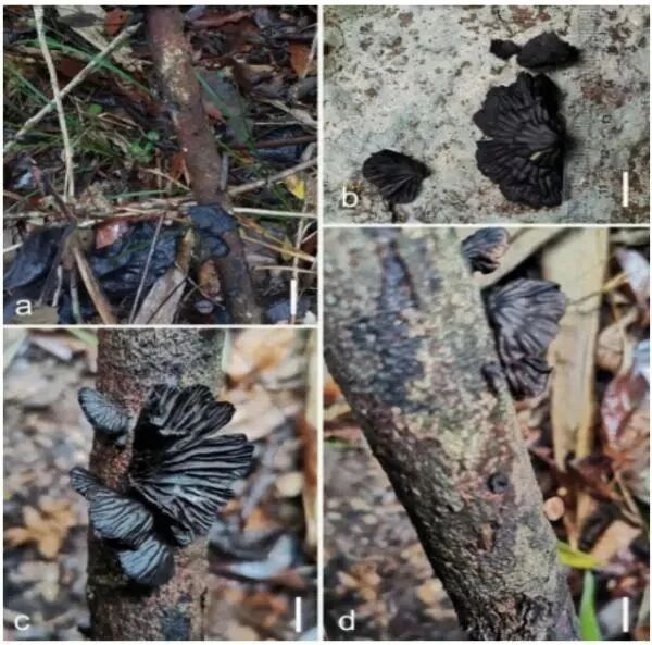 圖片關(guān)鍵詞 圖片關(guān)鍵詞