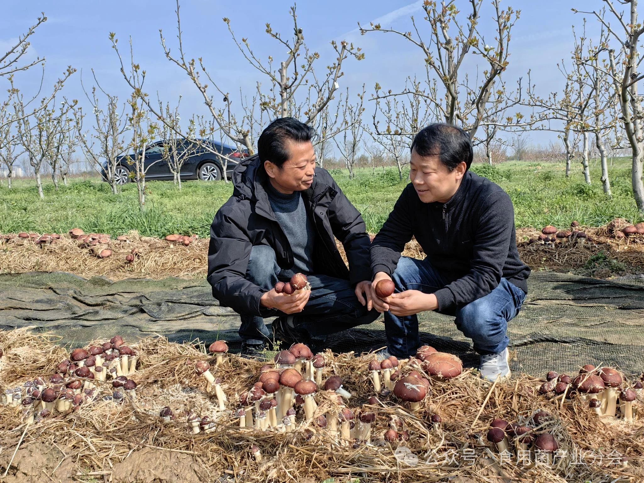 圖片關(guān)鍵詞 圖片關(guān)鍵詞