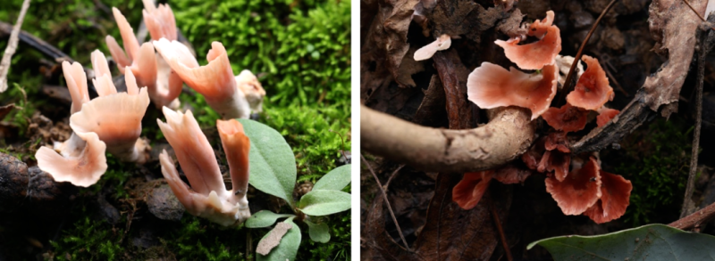 圖片關(guān)鍵詞 圖片關(guān)鍵詞