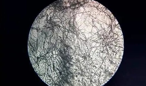 圖片關鍵詞 圖片關鍵詞