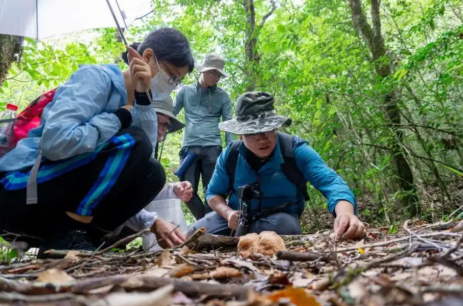 圖片關(guān)鍵詞 圖片關(guān)鍵詞