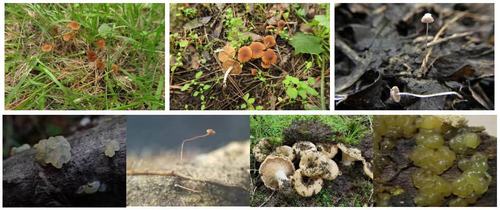 圖片關(guān)鍵詞 圖片關(guān)鍵詞