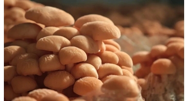 行業(yè)動(dòng)態(tài)