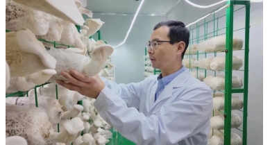 行業(yè)動(dòng)態(tài)