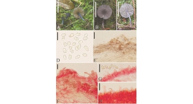 行業(yè)動態(tài)