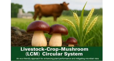 行業(yè)動態(tài)