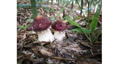 行業(yè)動(dòng)態(tài)