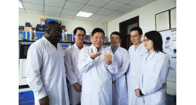 行業(yè)動(dòng)態(tài)