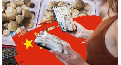 行業(yè)動(dòng)態(tài)