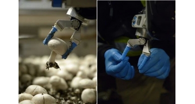 行業(yè)動(dòng)態(tài)