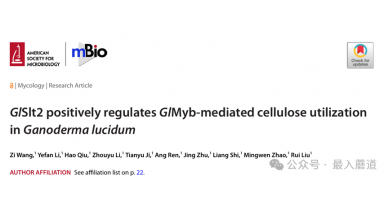 行業(yè)動(dòng)態(tài)